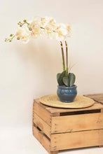 Load image into Gallery viewer, Round Sweet Grass Placemat Kebu