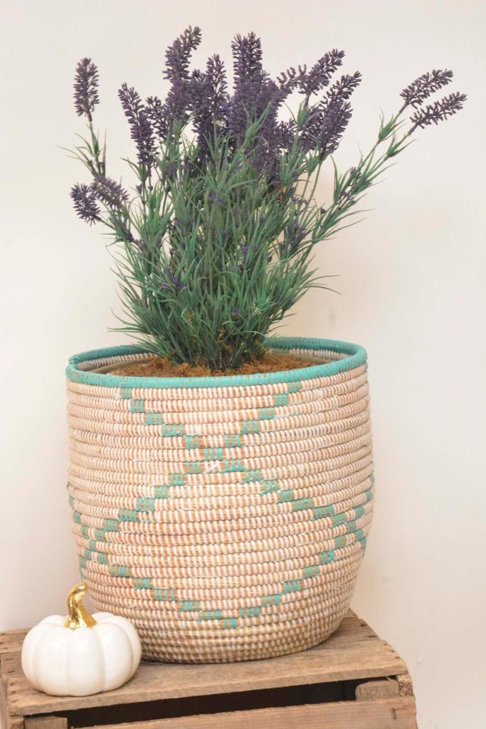 Nabu sweetgrass planter